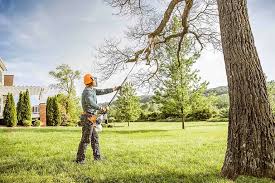 Trusted Azle, TX Tree Removal and Landscaping Services Experts